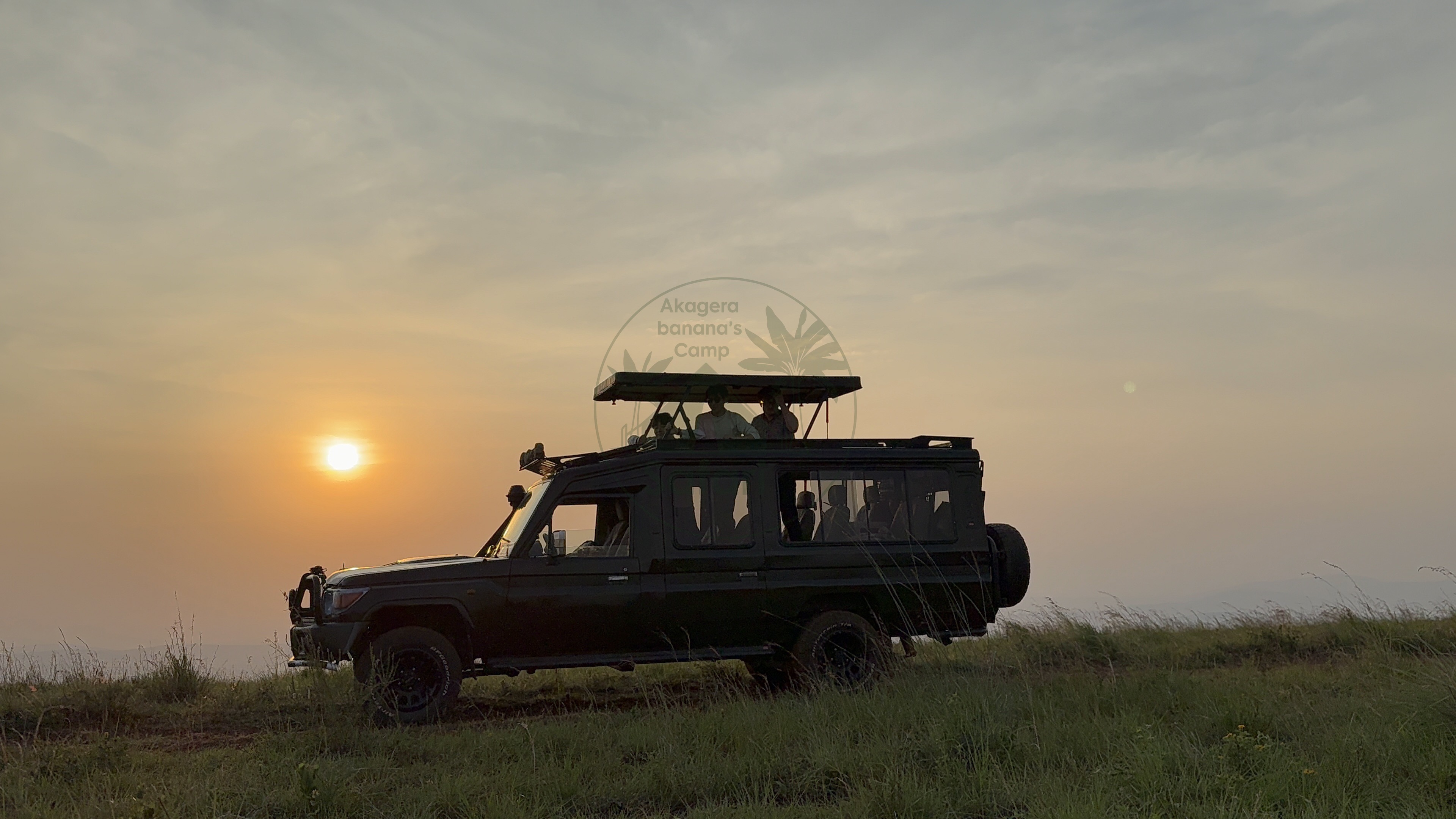 Ready to Wake Up to the Wild?