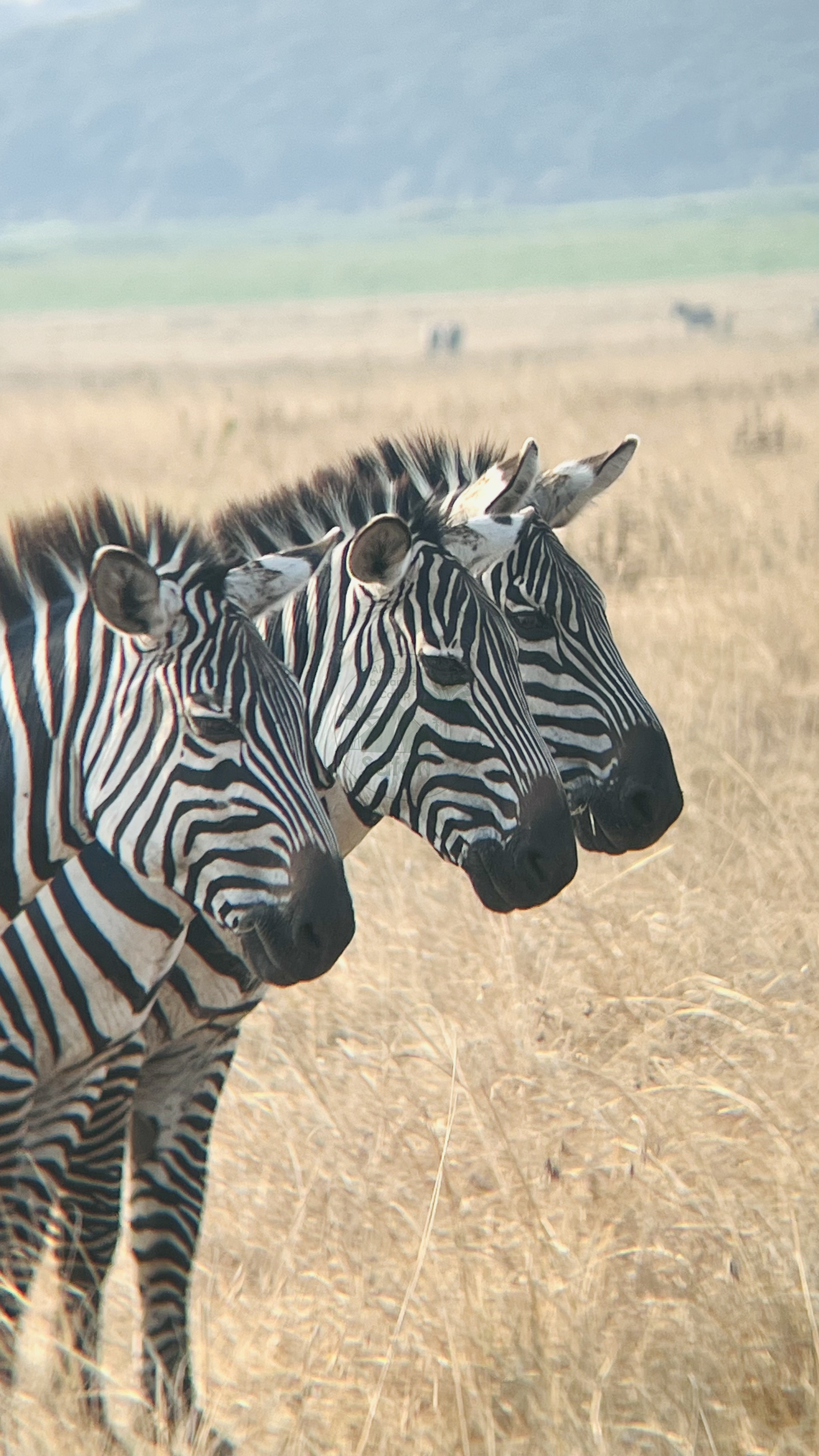 Akagera National Park · Rwanda